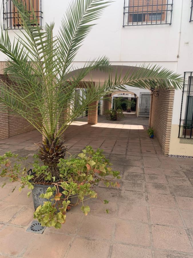 コルドバApartamento A Estrenar A Un Minuto Del Alcazarアパートメント エクステリア 写真